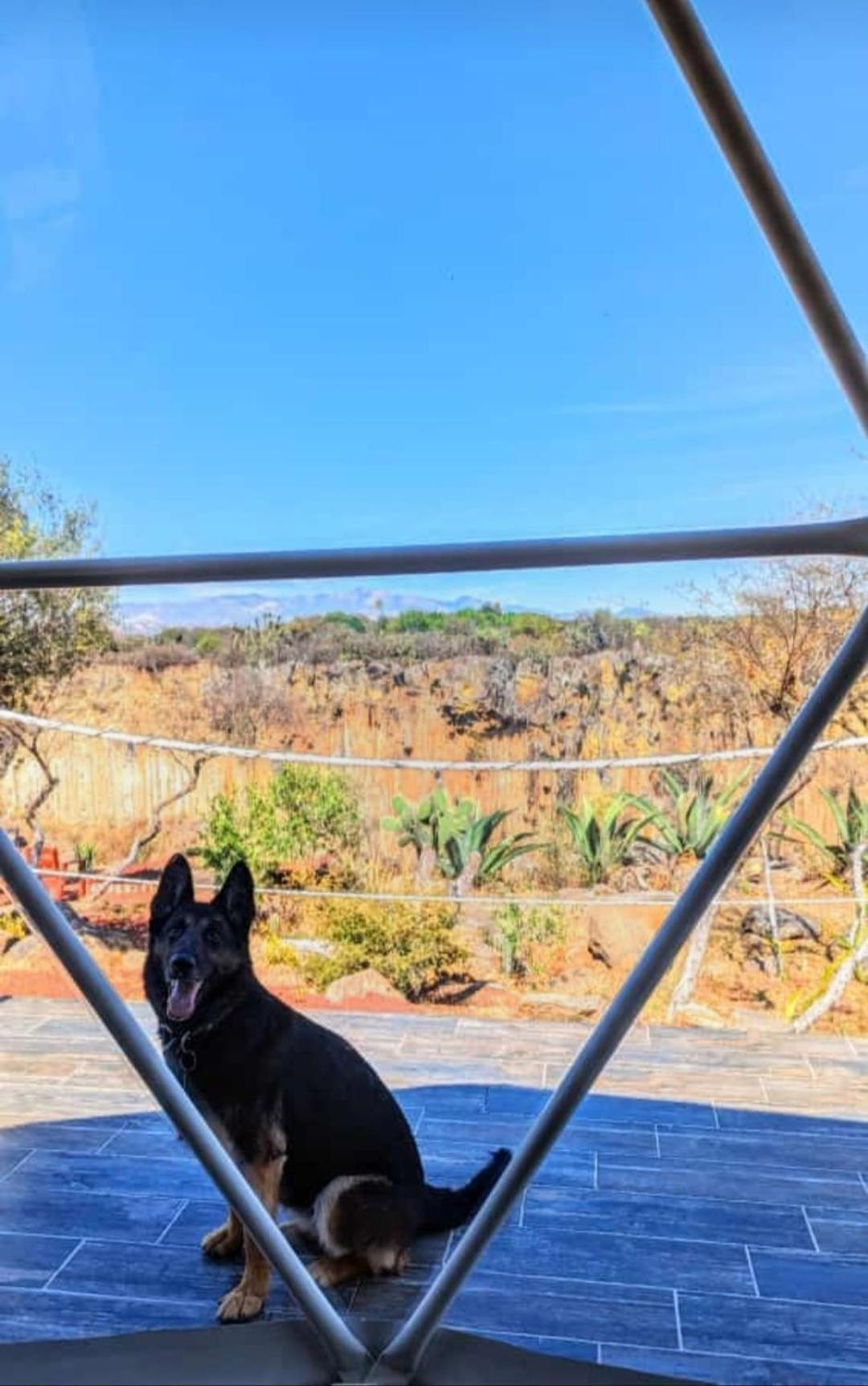 El Gato Glamping Con Vista A Prismas Basalticos Hotel Huasca de Ocampo Ngoại thất bức ảnh